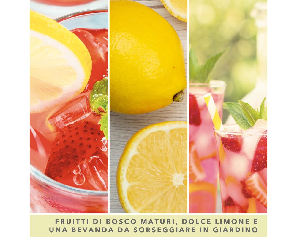 Set di sei pezzi cera profumata Wax Cubes mango lemonade limoni e mango Yankee  Candle ispirazione Cera da fondere a cubi