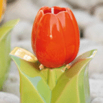 Candela tulipano di Ilary Queen