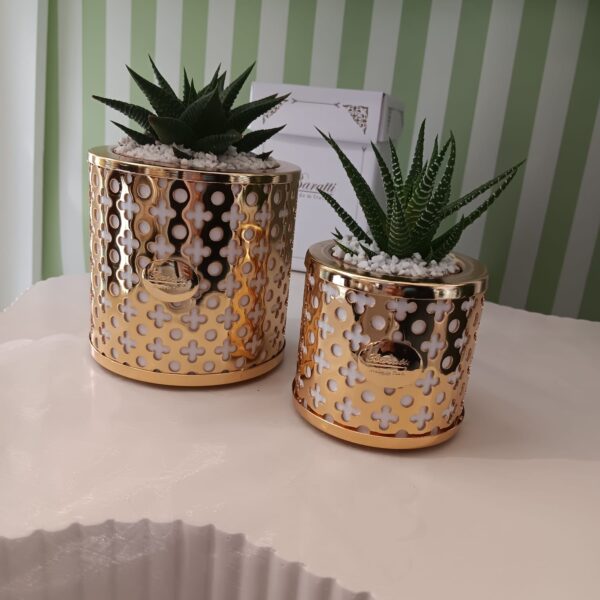 Portapiantina Gold di Baratti