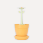 Scolaposate Florganic