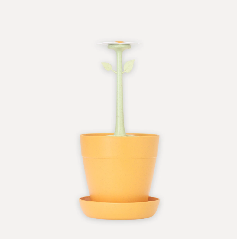 Scolaposate Florganic