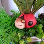THUN - COCCINELLA PICCOLA
