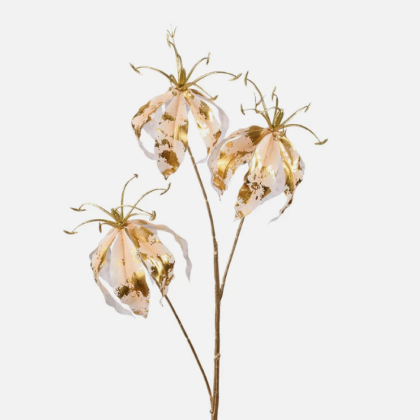 L'OCA NERA POESIA IN PETALI - FIORE 1 83H