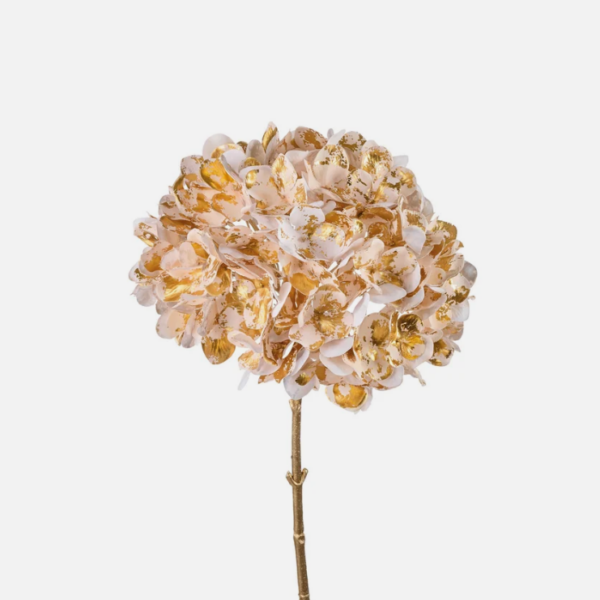 L'OCA NERA - POESIA IN PETALI - FIORE 7