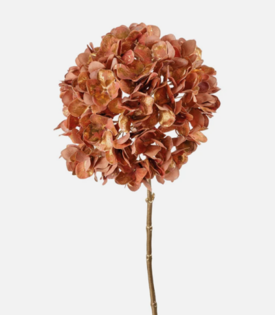 L'OCA NERA - POESIA IN PETALI - FIORE 8