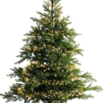 MERCURY - ABETE MICROLED 1440 MICRO LED H. 150 CM